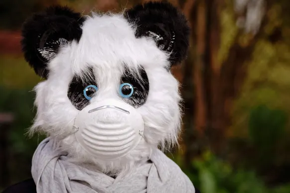 BitReels Kaszinó Támogatás